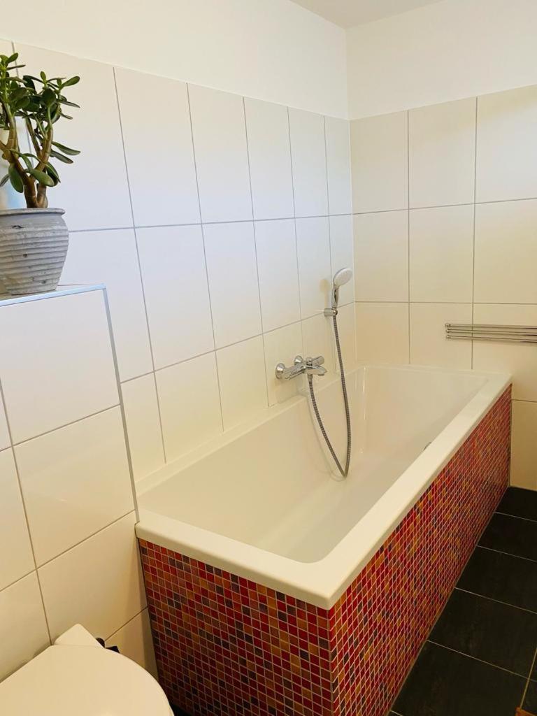 By Onzz Bed & Breakfast Kamperland Exterior foto